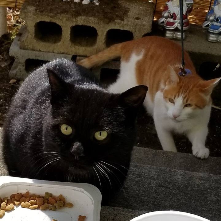 A0eb9961 6d3f 4e32 859e 7ac364139ceb 1520150345522