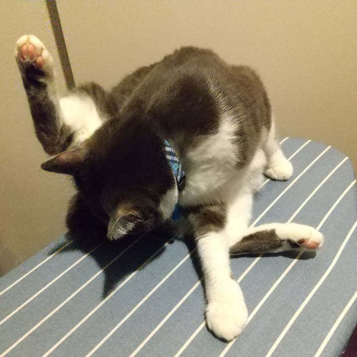 A0ec0cf0 dea4 4f4d aef8 0697f8db8964 1612474778597