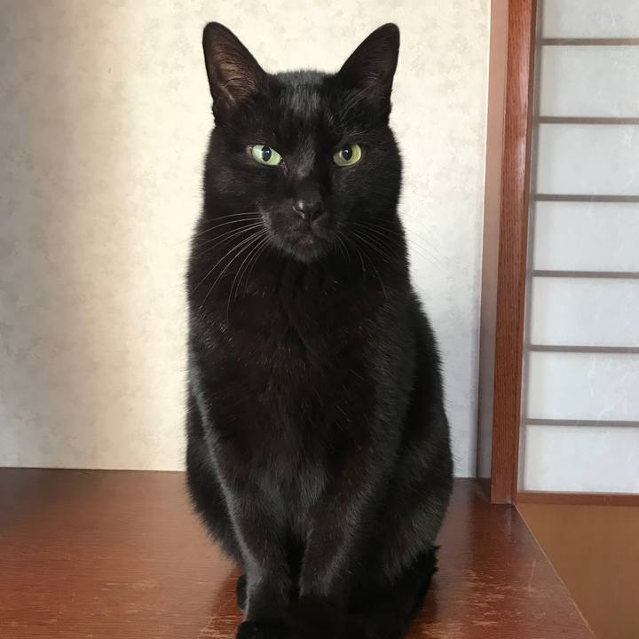 A0ec1e23 c05d 435a 947d 150ec16ac585 1515634655182