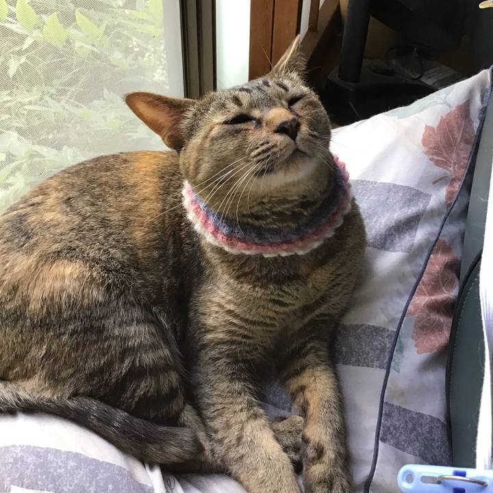 A0ec3601 1d98 4459 918c 9965d3bbe498 1624164147093