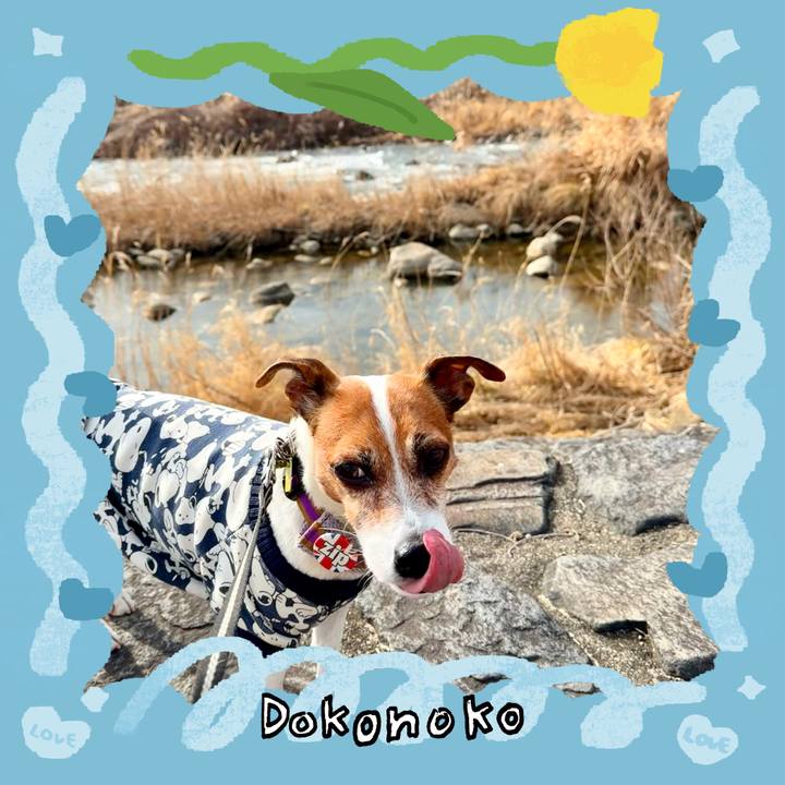 A0ec510f 2ed3 4a79 a214 d2f5c1405cf0 1771888093365