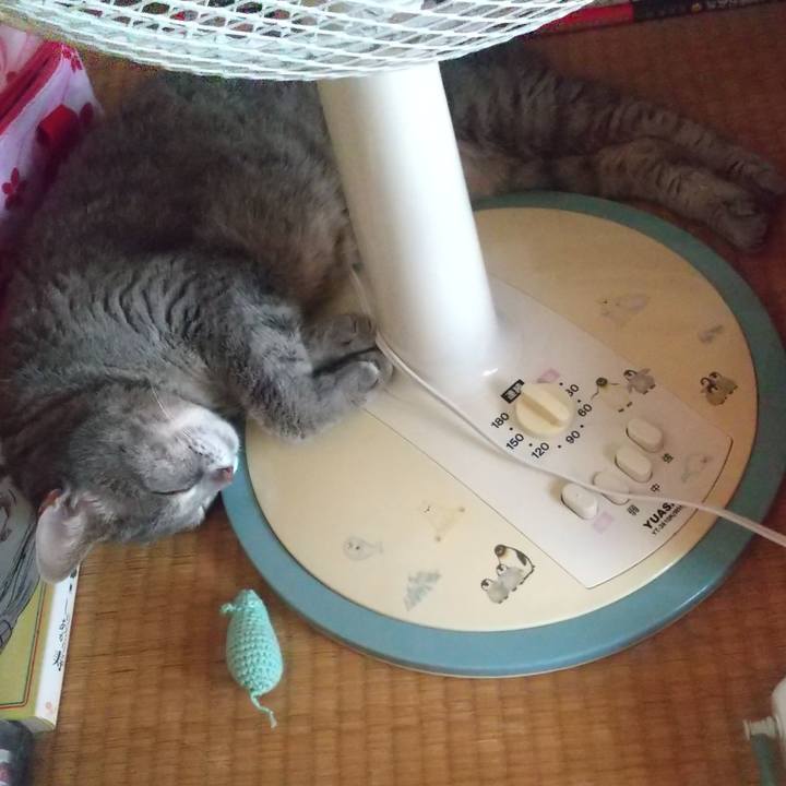 A0ec8c58 0fe0 43b7 ba92 4136e464b740 1656902654857