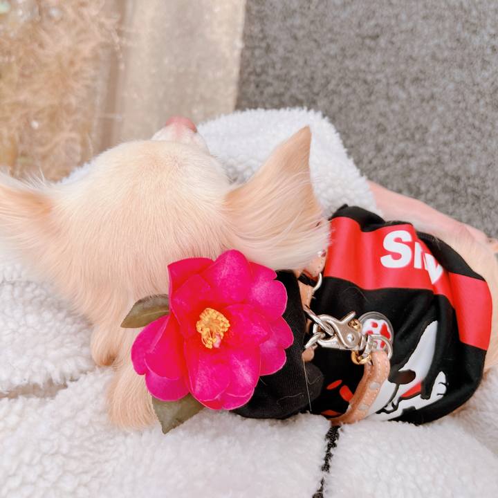 A0ec971b 137e 4352 a0b8 c8068888ba86 1673591893179