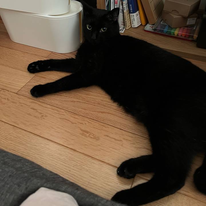 A0ed0fca 5e12 46f2 a149 05dce19e7fdc 1660605226638