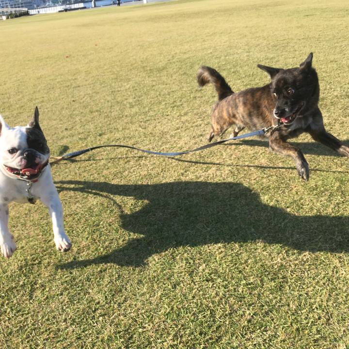 A0ed446e 28cf 4d09 9843 68cece7ce517 1540775686136