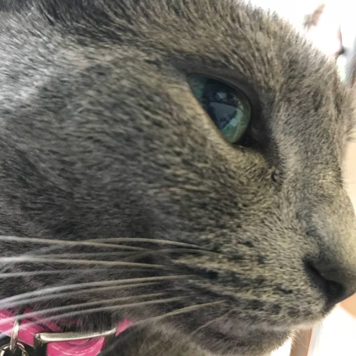 A0ed7bfa 5a94 47eb 9afc f00a5aa4c11f 1535759285623