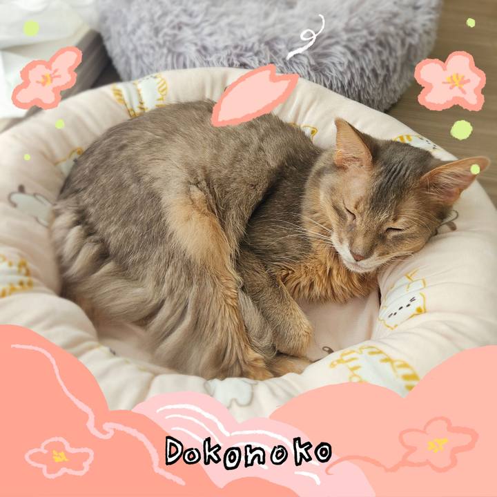 A0ed8ea3 61e6 4315 aa27 32388ca2ffe3 1775221261662