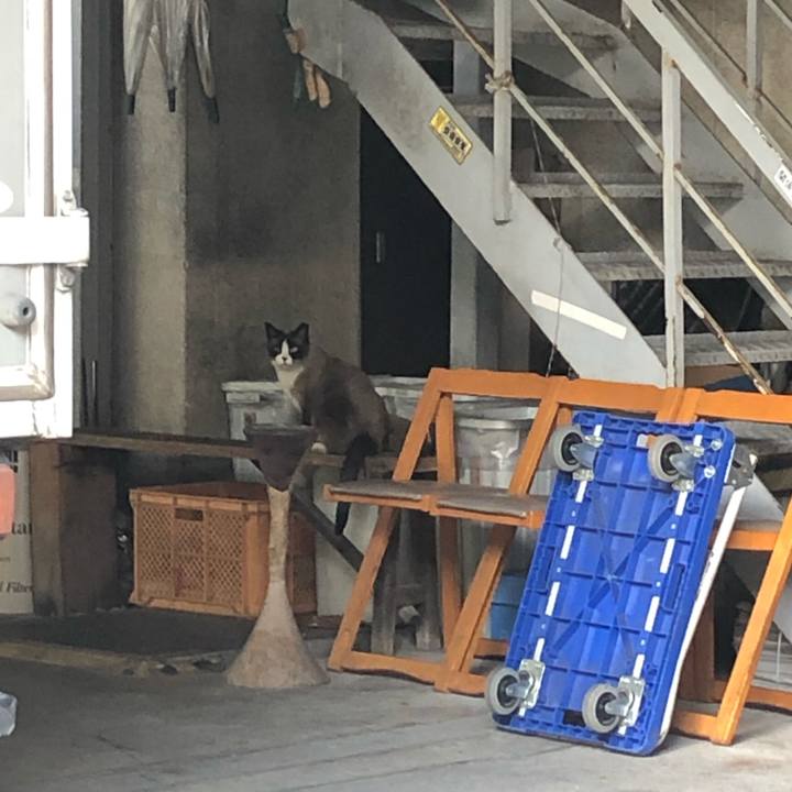 A0ed8f9b 2dcd 40dc ae90 26f0dad0e0a4 1656522677223