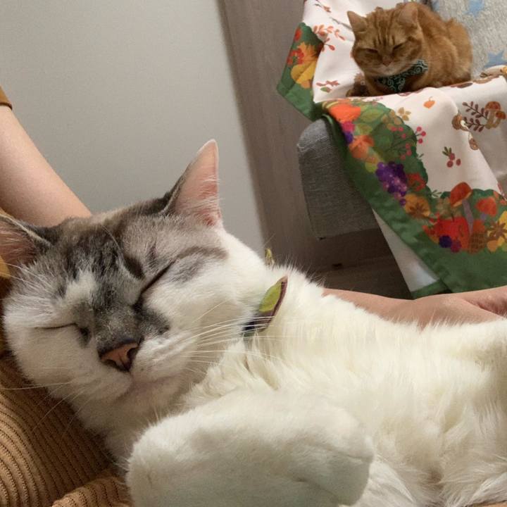 A0ed93f6 f44f 431f bd80 c0b8ca1aa892 1568462066810