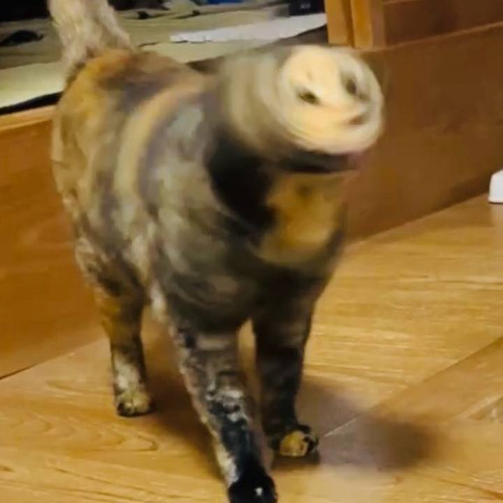 A0edbeb4 b531 4d00 9a91 e0644a91fc73 1729676331755