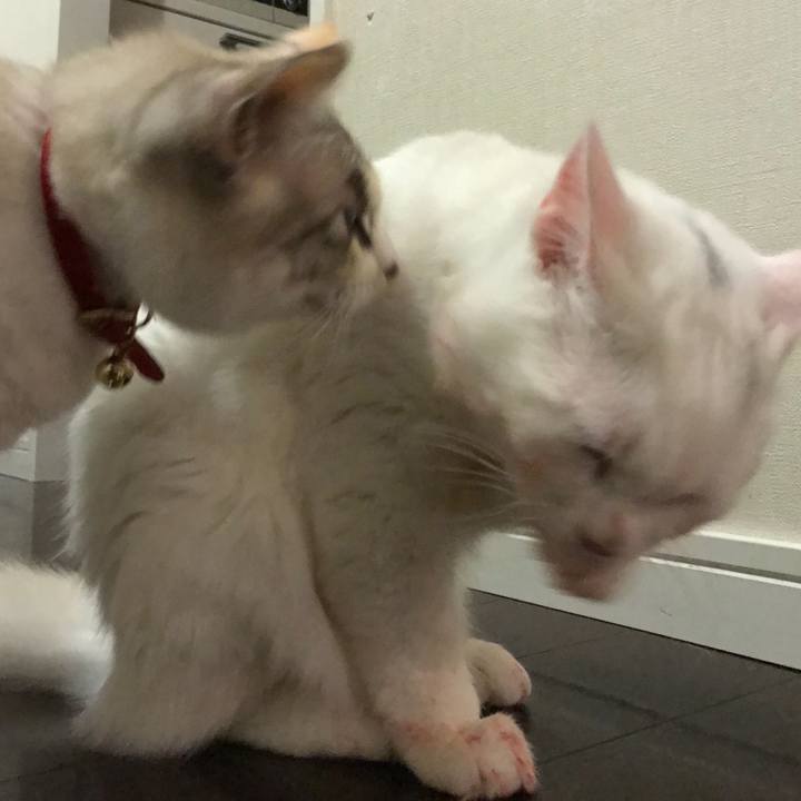 A0edd87f f419 41d6 87d4 892bd5e04f7b 1515404104989