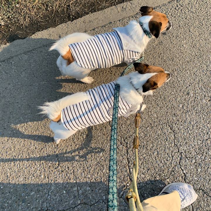 A0edeef8 09a8 4507 8f59 3c73df419e56 1587080231080