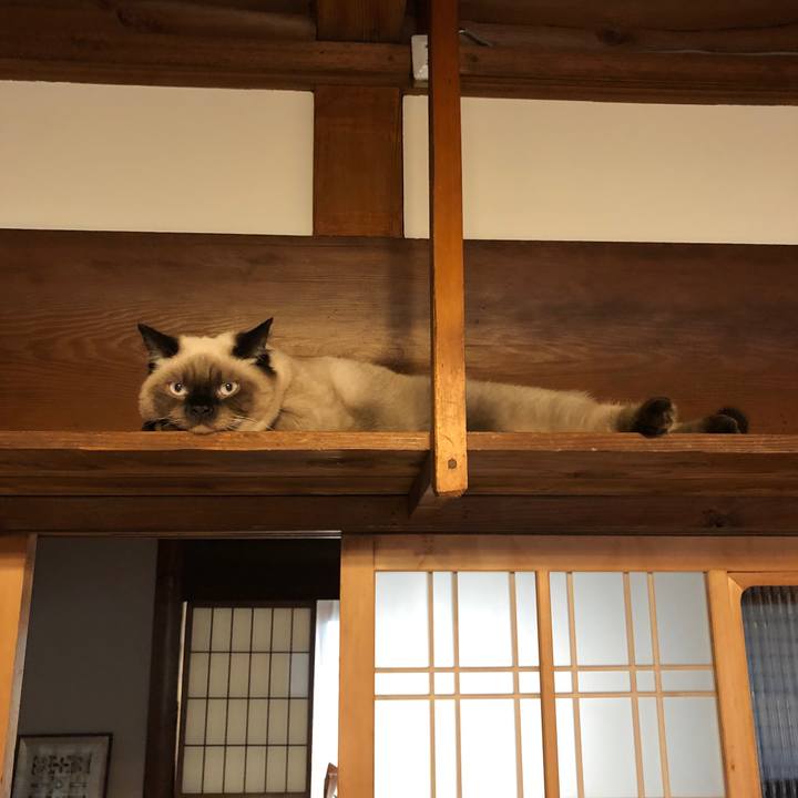 A0ee4011 e09e 40c8 a24d 1c72cf8f112d 1597532502743