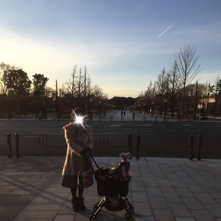 A0ee4e66 d8a8 42f5 8ae6 8b3e71ec9896 1515321924357