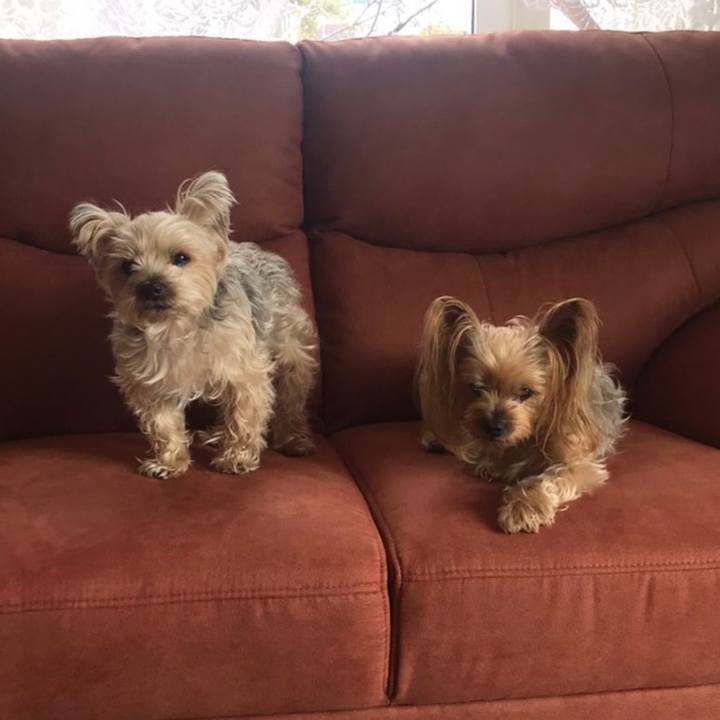 A0ee5b7e 00d3 43f3 9893 3118802a584a 1585131435008