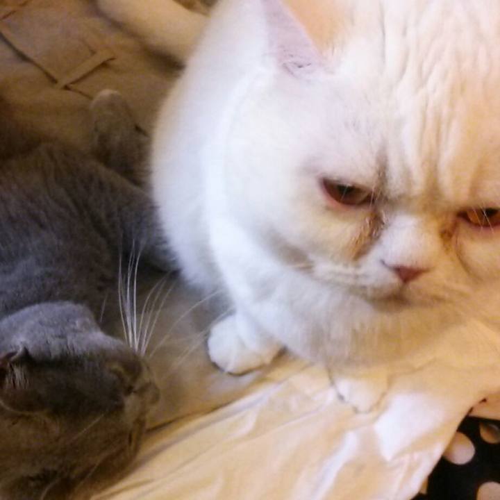 A0ee8193 c327 4c44 9e3c f85dea812461 1556435485413