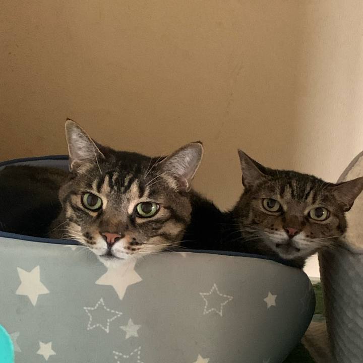 A0eea215 9819 46e9 b69d 2e82c0d2cf8a 1683958844317