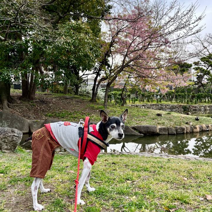 A0eea436 f208 4187 bc3a c96985fd9c64 1647833350692