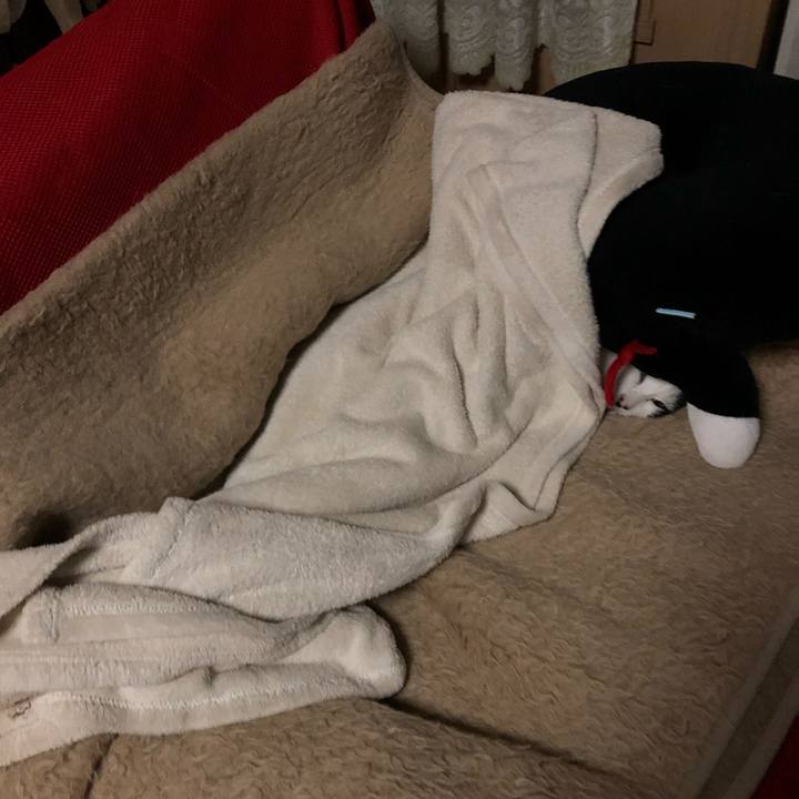 A0eea8e8 c70f 4dd7 9417 959d846a05f1 1573844507975