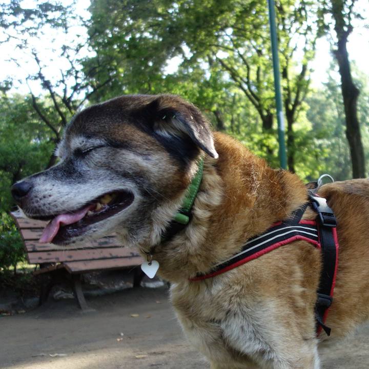 A0eee150 225d 4115 938a 55355a621965 1675560519117