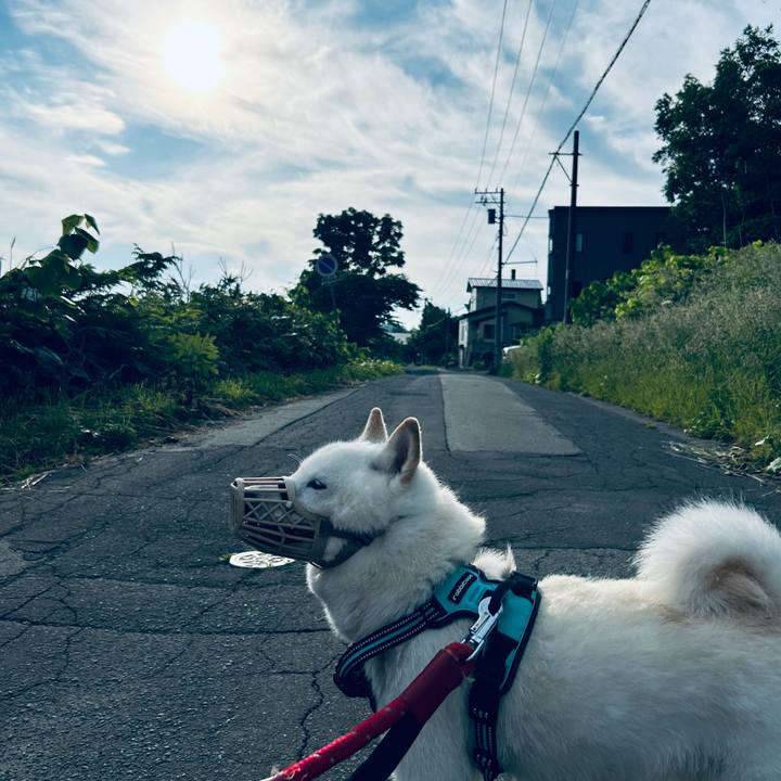 A0eef294 edd3 41ad ba3e 3b4a2e5fc37d 1686862905943