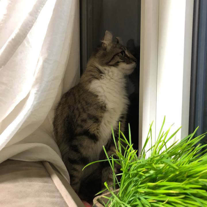 A0ef0077 48cd 4984 bd09 88971571afee 1520952869908