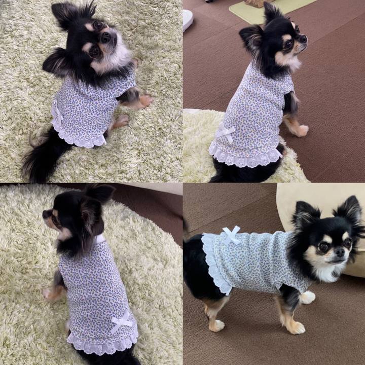 A0ef0e62 b908 4597 8fd4 98818fb82447 1630478193807