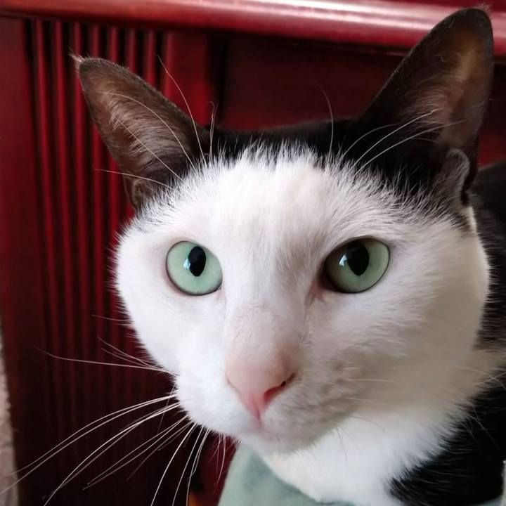 A0ef2234 aaee 4488 981d 3975310bbec9 1589172805666