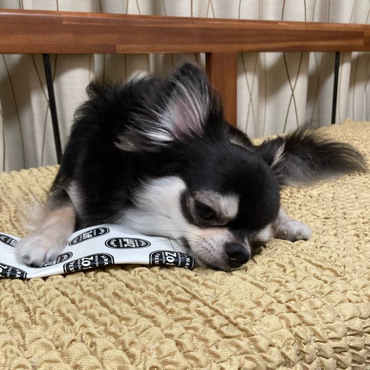 A0ef2335 1c34 464e b792 664f7023c2e7 1658149398172