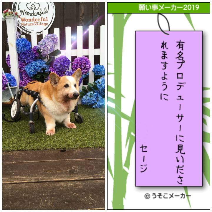 A0ef53e0 a936 4a25 8be2 30c6f0feef11 1562516218511