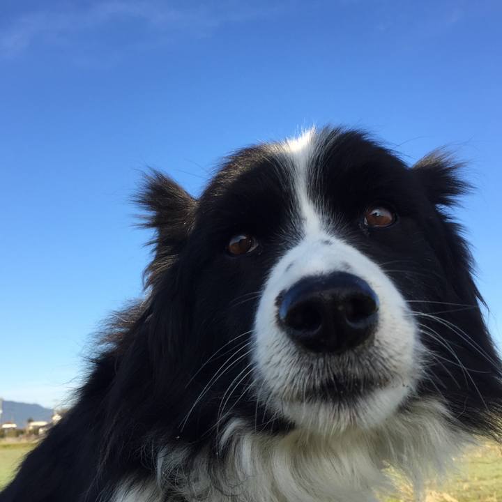 A0ef6496 d991 47d1 897c 1ef26f83ccda 1576196553819