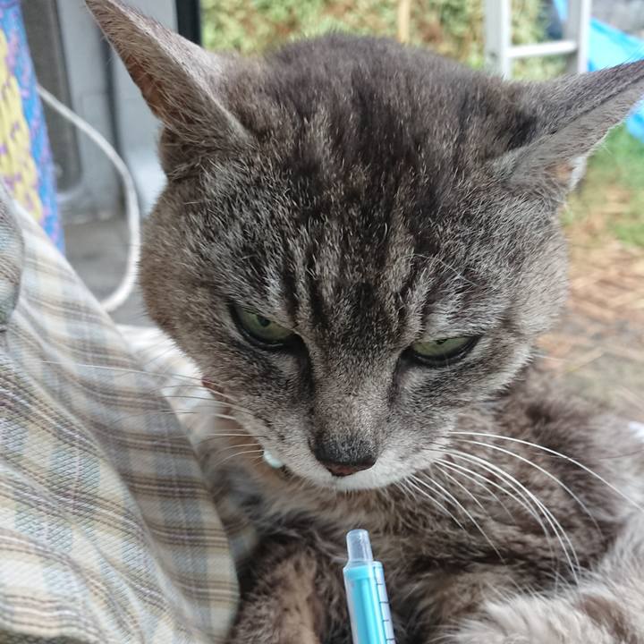 A0efa533 4716 40d6 9cc9 3a545a690145 1593982603266