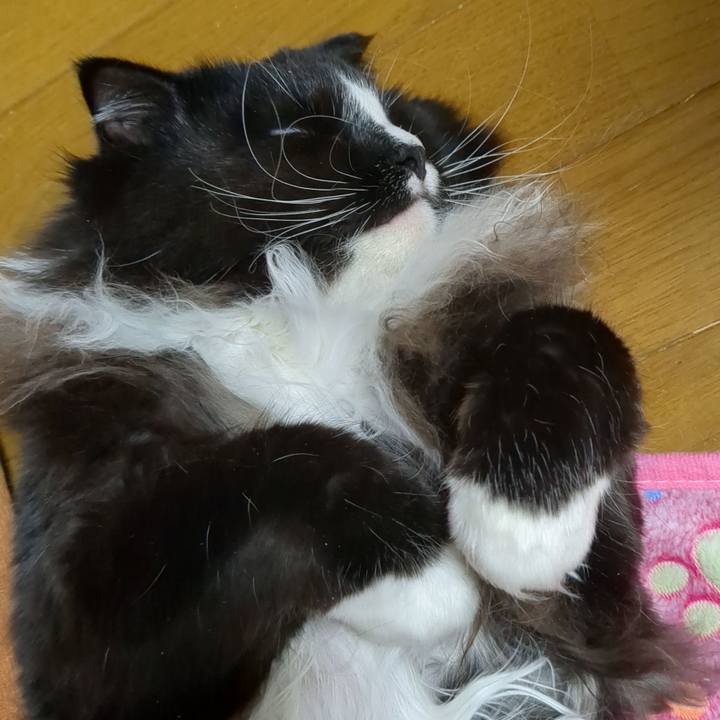 A0efb42d d882 40ff 919c 8fb35c9116be 1672958650781