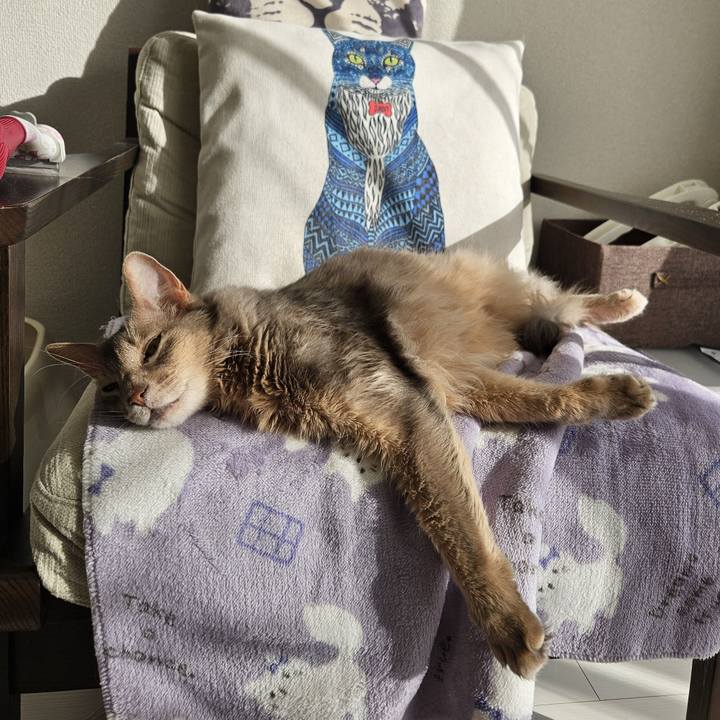 A0efdd39 3a2b 40f5 bd4a e4b0edafceba 1712739521337