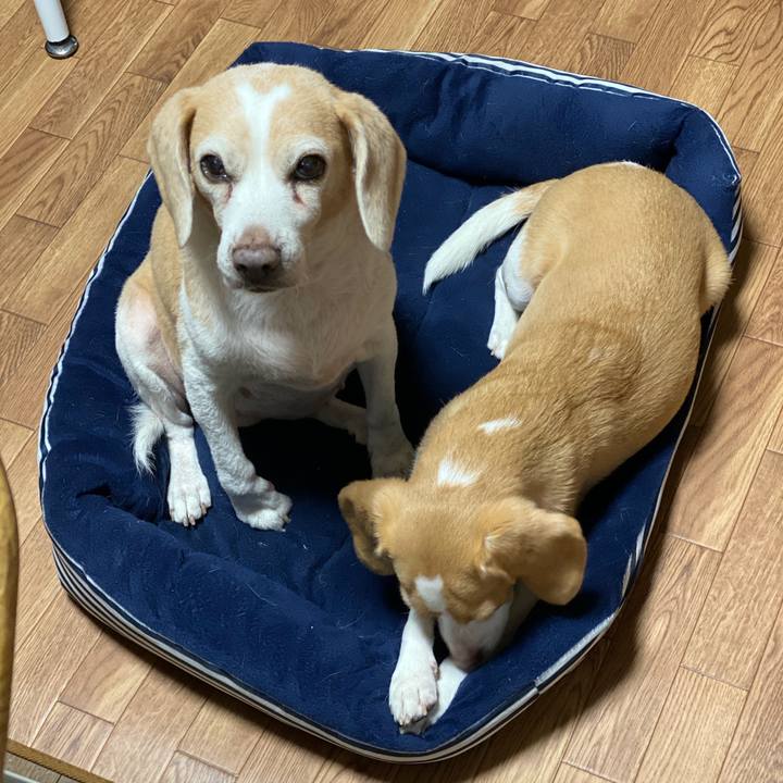 A0f0110b 2421 424e 8142 a0d9a10afbe1 1572868130082