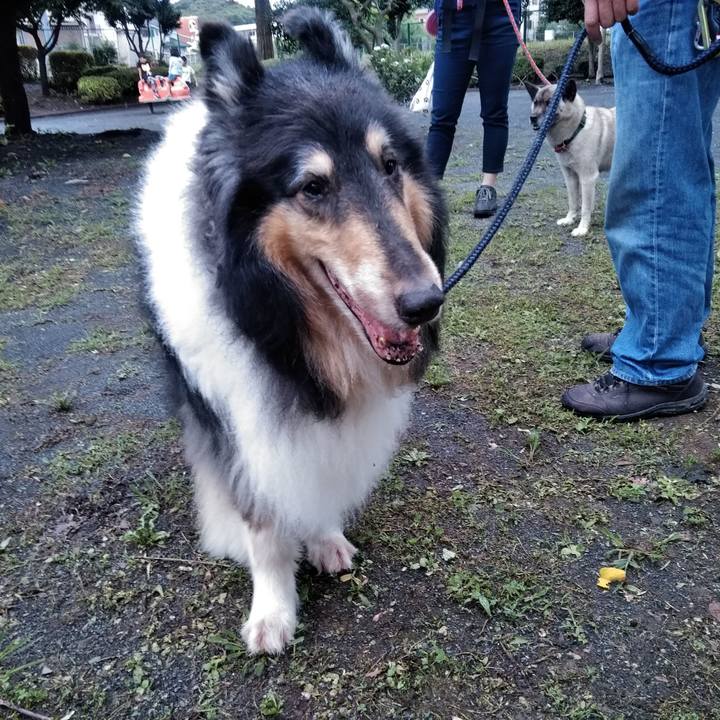 A0f02d55 b2f5 4062 a592 a6f7ae22c46a 1562243722708