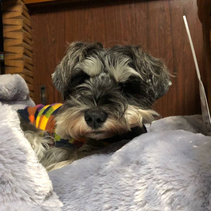 A0f03f01 d29a 423d 801f b0a26451e052 1574342078790