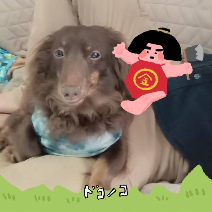 A0f06a3a d64c 4ddf a88e 8b05f75331a8 1779742823393