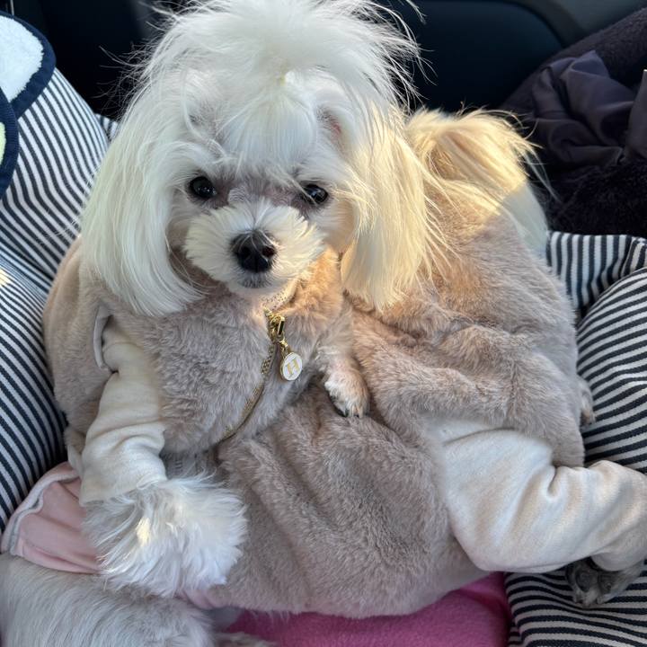 A0f087b0 6933 45e8 b590 f5a9629ca12a 1736757448796