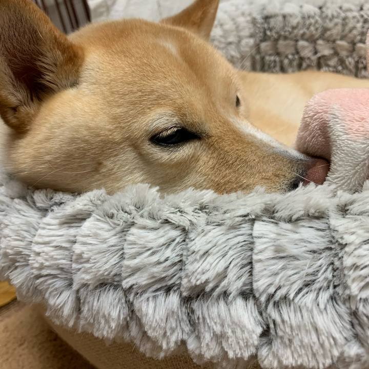 A0f0ab71 f5f7 42d6 a26f fa722fc6da76 1635166114843