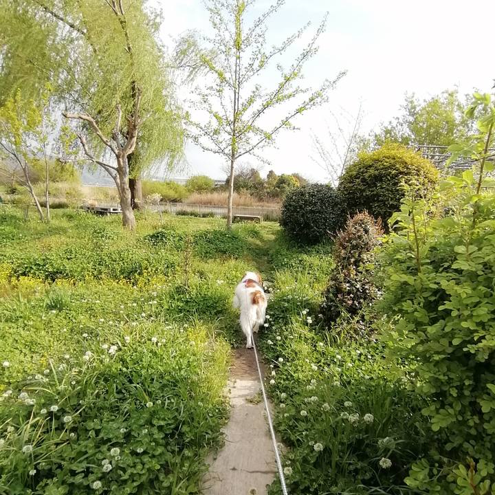 A0f0b2b1 a09f 4bcc aa7c 9eb17759007c 1587381349360