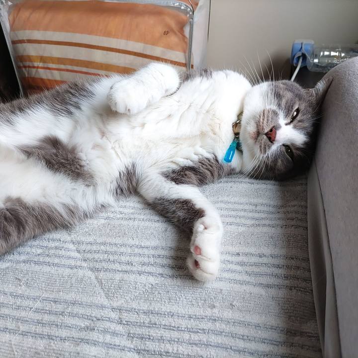 A0f0b4f7 7511 4802 863b 0e54bf1e3010 1716511119353