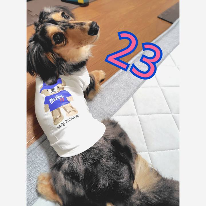 A0f0cc1d d380 44b2 b89d e7c5c8df2ec6 1750044695645