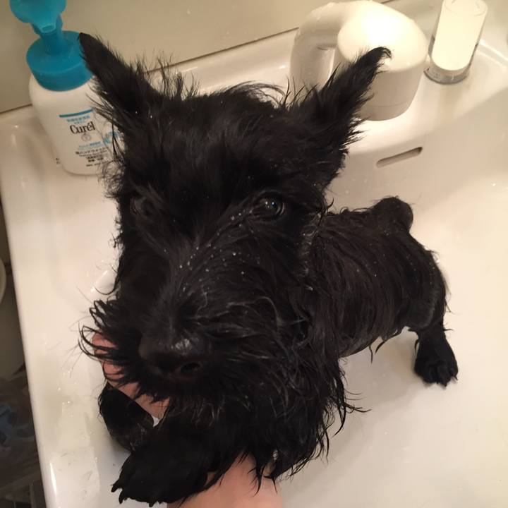 A0f120b5 fa53 486c b0a7 08f408044b16 1535092962600