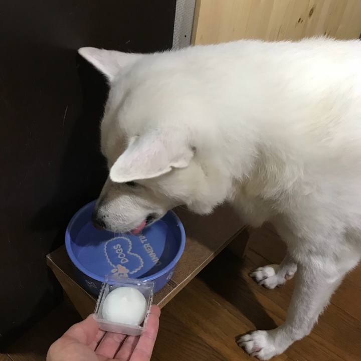 A0f1443e 6bc1 4269 a48f 3674a7bf3fb0 1530446302322