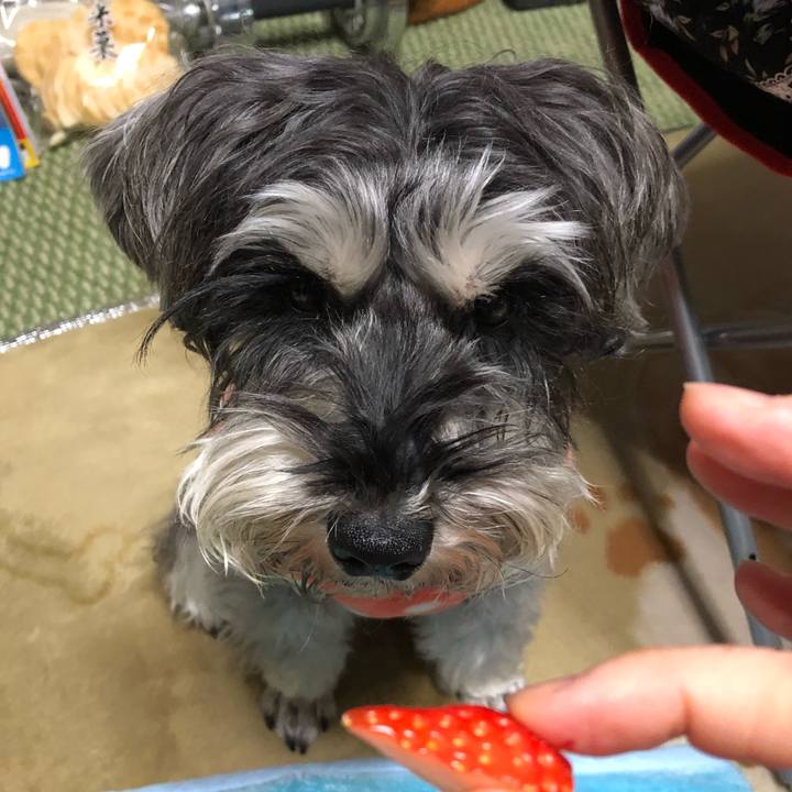 A0f1500e 320a 4c27 a7a5 a9b79d30250d 1547558614575