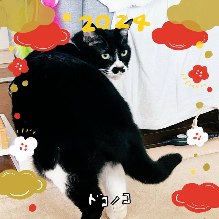 A0f18b29 9f89 4383 8746 08adafcbd7f9 1704090873221