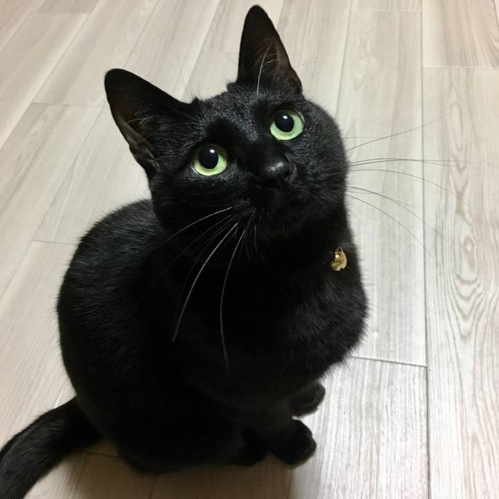 A0f1b764 84ae 491f ae24 64ad5d82c238 1519576999928