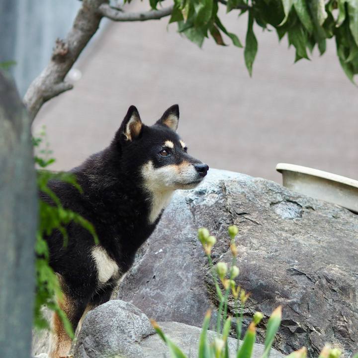 A0f1c519 f538 484f a51d f24f4a70fa78 1760310539870