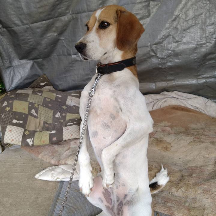 A0f1caaa 6e77 44a3 88ed 26b094b0d17f 1662220521688